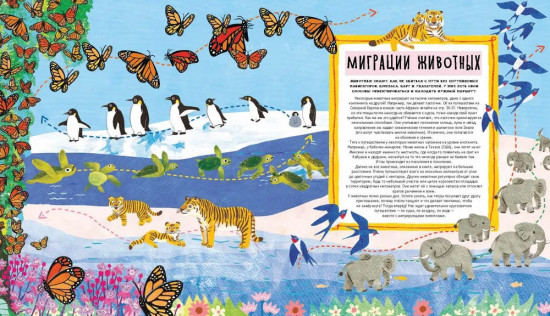 Куда идут пингвины. Маршруты миграции
