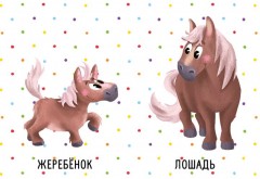 Кто мой малыш? Животные и их детеныши - Фото 3