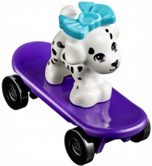 Выставка щенков: Скейт-парк - Фото 2