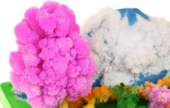 Набор для опытов «Волшебный сад» - Фото 2