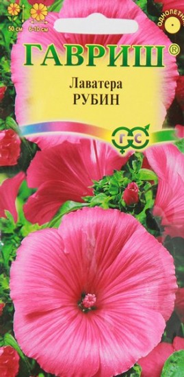 Семена. Лаватера «Рубин», 0,5 г