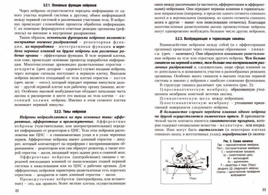 Физиология человека. Общая. Спортивная