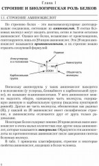Биохимия двигательной деятельности - Фото 5