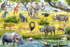 Зоопарк - Фото 1