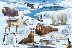 Зоопарк - Фото 2