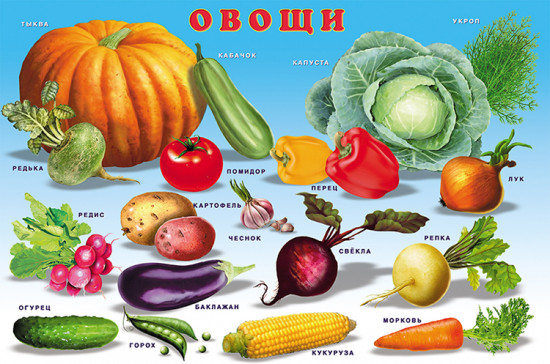 Овощи, фрукты, ягоды