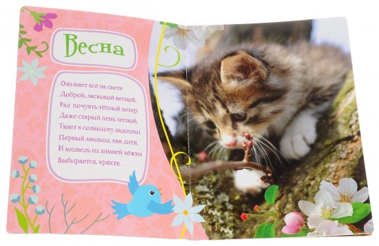 Времена года