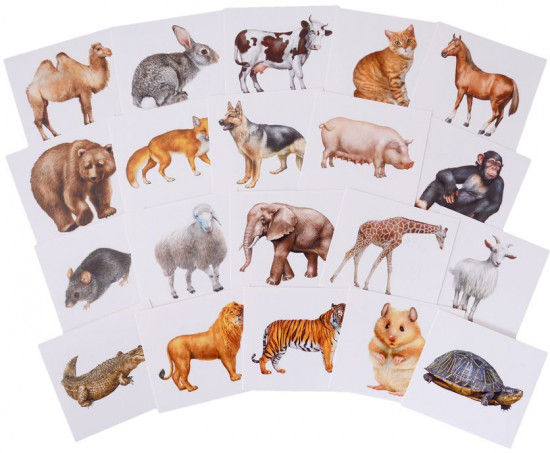 Запоминай английские слова. Animals