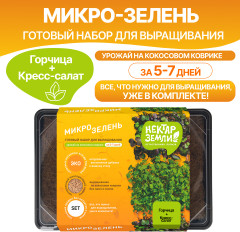 Набор для выращивания микрозелени «Горчица и кресс салат» - Фото 2