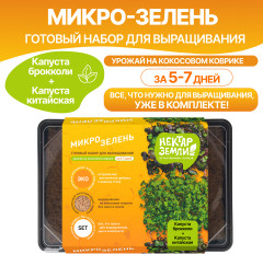 Набор для выращивания микрозелени «Капуста китайская и капуста брокколи» - Фото 1