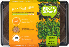 Набор для выращивания микрозелени «Капуста китайская и капуста брокколи» - Фото 2