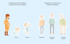 Тело человека - Фото 1