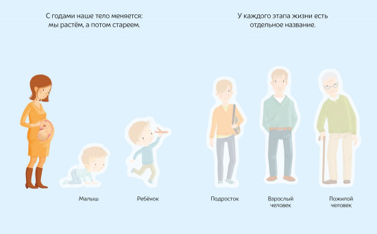 Тело человека