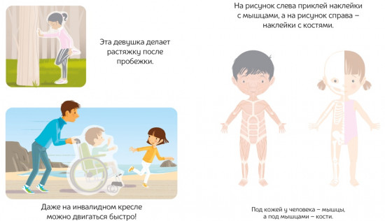 Тело человека
