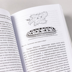 Евангелие от LUCA. В поисках родословной животного мира - Фото 4