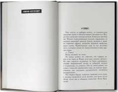 После огня - Фото 3