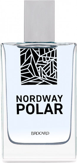 Туалетная вода «Polar»