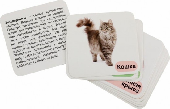 Животные-питомцы. 12 развивающих карточек