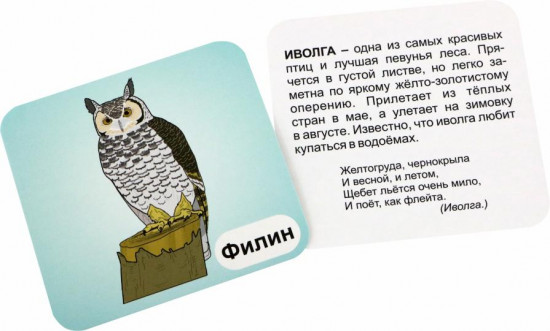 Птицы леса. 12 развивающих карточек