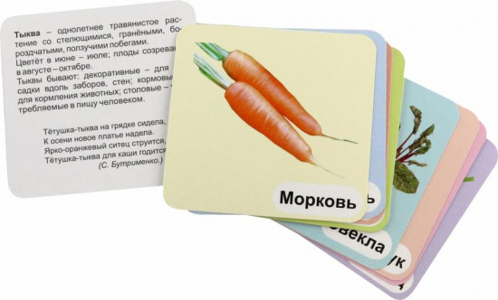 Овощи с грядки. 12 развивающих карточек