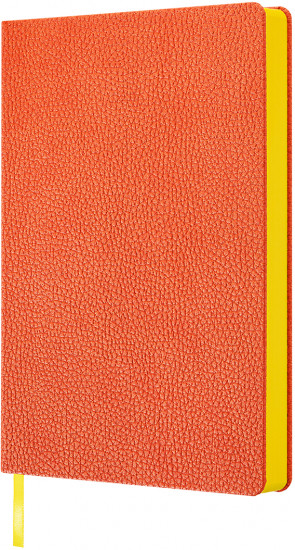 Ежедневник недатированный «Orange»