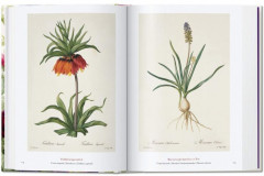 Redoute. Book of Flowers — 40th Anniversary Edition - Фото 1