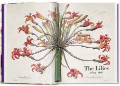 Redoute. Book of Flowers — 40th Anniversary Edition - Фото 2