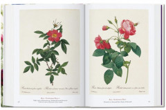 Redoute. Book of Flowers — 40th Anniversary Edition - Фото 3