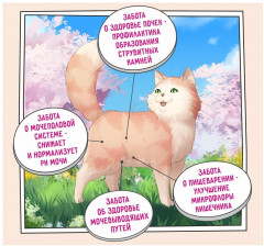 Корм для кошек с индейкой «Urinary care» - Фото 3