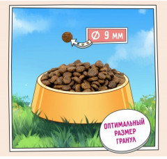 Корм для кошек с индейкой «Urinary care» - Фото 11