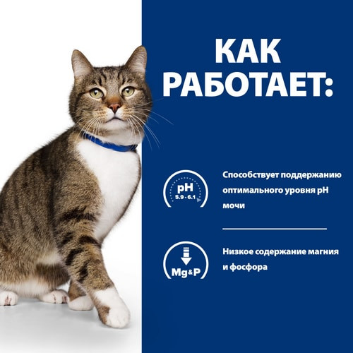 Корм для кошек «Urinary care»