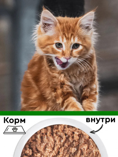 Корм для котят с курицей