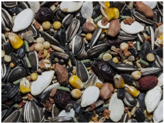 Корм для крупных попугаев - Фото 1