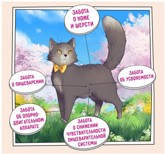 Корм для кошек с чувствительным пищеварением