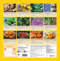 Целебный календарь на 2024 год с рецептами - Фото 1