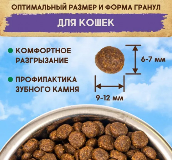 Корм для кошек живущих в помещении