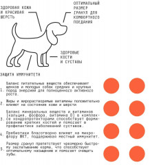 Корм для щенков и молодых собак средних и крупных пород с гречкой - Фото 3