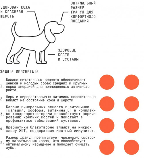 Корм для щенков c гречкой