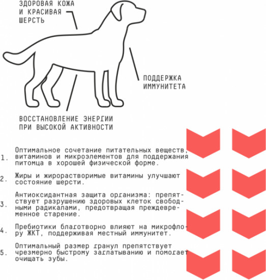 Корм для взрослых собак средних пород