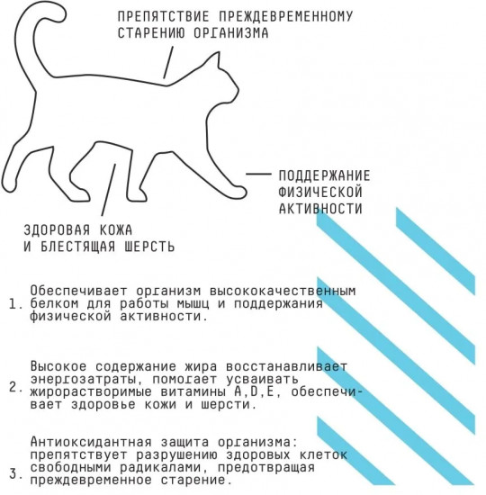 Корм для взрослых активных кошек