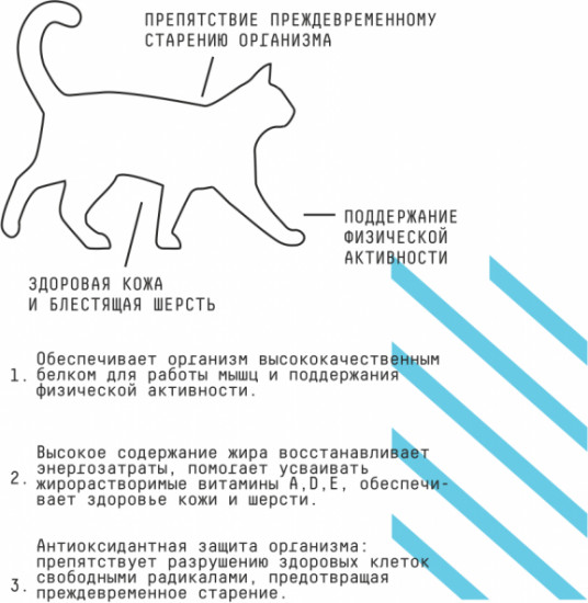 Корм для взрослых активных кошек