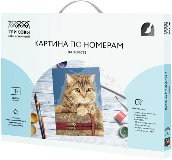 Картина по номерам «Кошка»