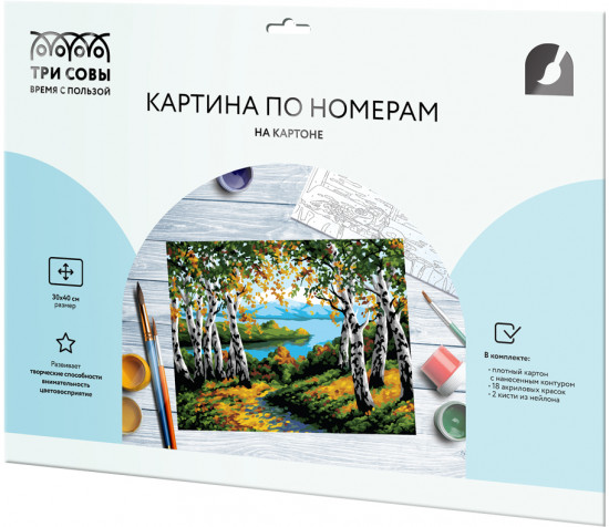 Картина по номерам «Березовая роща»