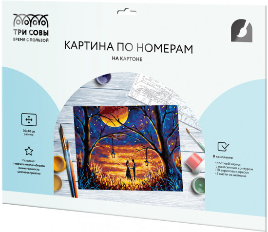 Картина по номерам «Таинство»