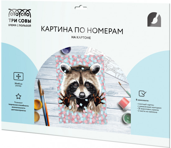 Картина по номерам «Енот»