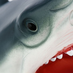 Игрушка-перчатка «Акула» - Фото 3