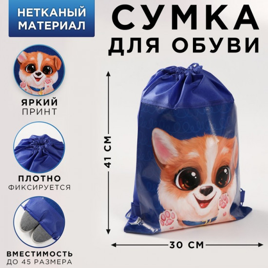 Сумка для обуви