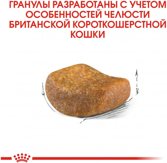 Корм для взрослых кошек «Adult British»