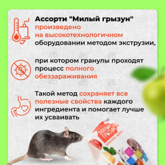 Корм для декоративных крыс и мышей «Фруктовое ассорти» - Фото 3