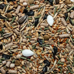 Корм для декоративных крыс и мышей «Фруктовое ассорти» - Фото 4